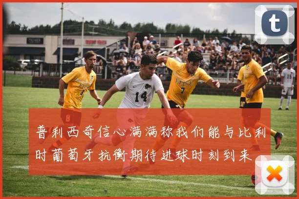 普利西奇信心满满称我们能与比利时葡萄牙抗衡期待进球时刻到来