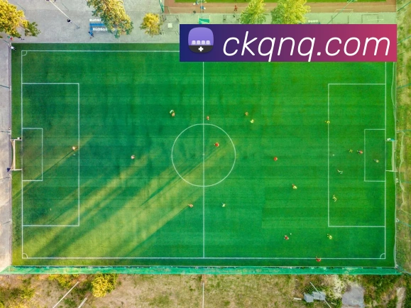 米兰app登陆入口APP 高清赛事图